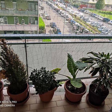 Hotel Da Felicia & Fabrizio Rzym Zewnętrze zdjęcie